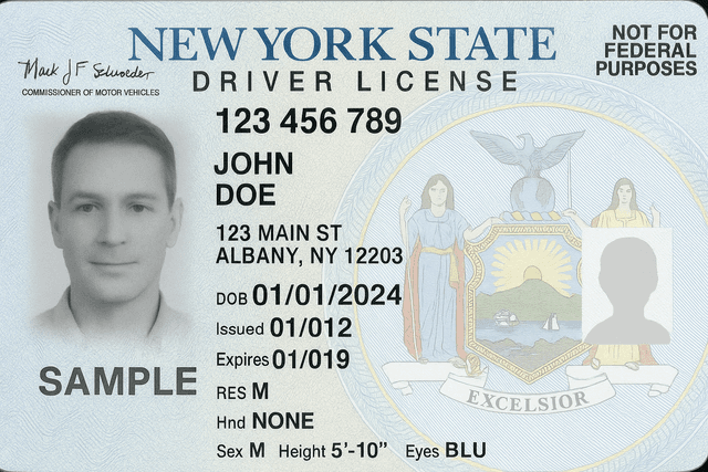 DMV Driving License